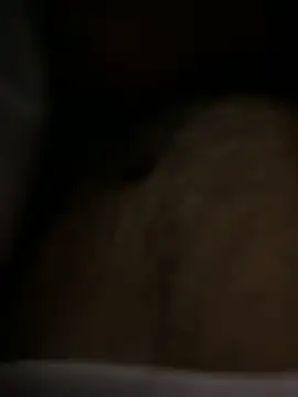 sukebegorilla live sex cam