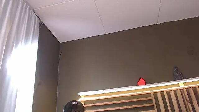 PaulEvens live sex cam