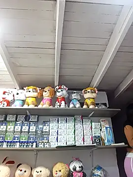 VivienAndClark's Stripchat show and profile