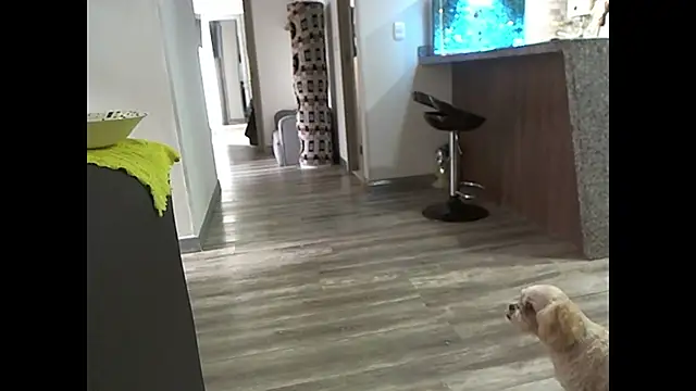 adan_eva960 live sex cam