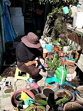 LaInsaciableIntensa live sex cam