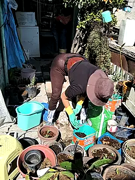 LaInsaciableIntensa live sex cam