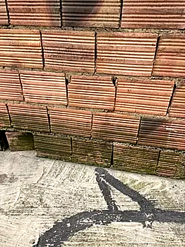 Rouse_07 live sex cam