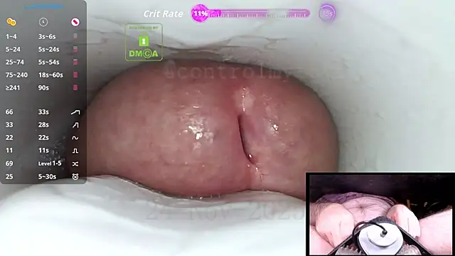 controlmytoys live sex cam