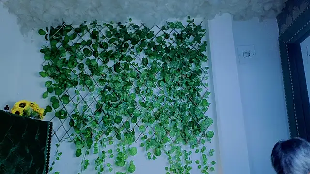 Levii_Ackermann live sex cam