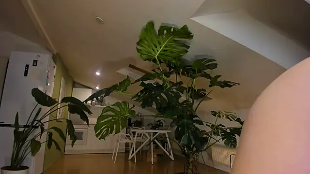 andrea_x_ live sex cam