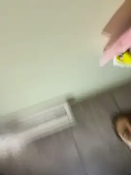 Hall_16 live sex cam