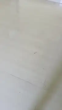 Kanneeswari live sex cam