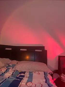 nikicatwild live sex cam