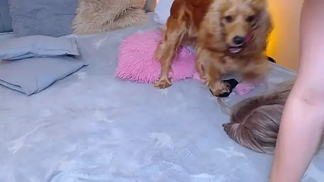 AnnyMichelle_ live sex cam