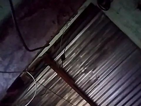 SindyHans live sex cam