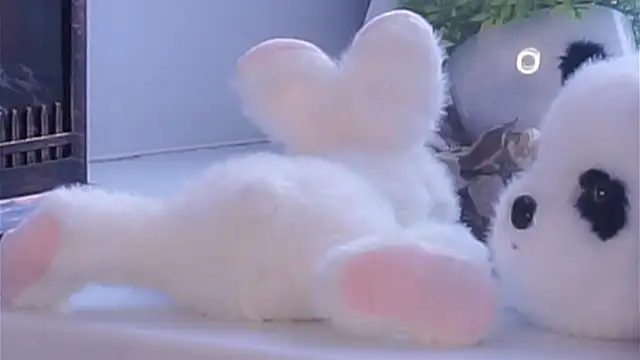 EdlinHargus live sex cam