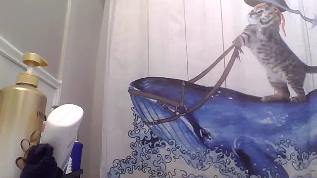 clitstitsandbongrips live sex cam