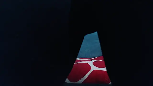 mastersmits live sex cam