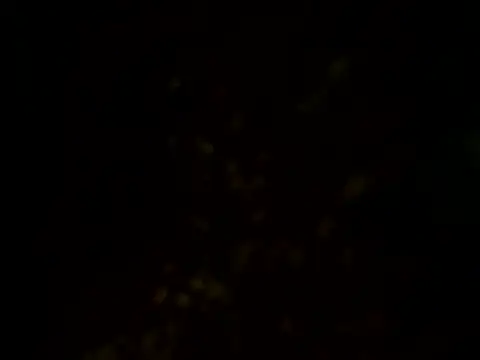 Aydenmiller96 live sex cam