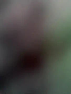 Xixi-Gala live sex cam