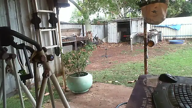 herbie010666 live sex cam