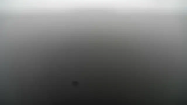 MikeLovesex699 live sex cam