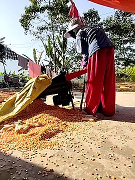 Tin_tanny live sex cam