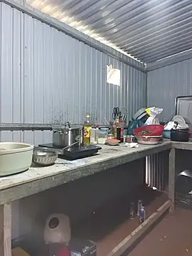 Helen-Tran live sex cam