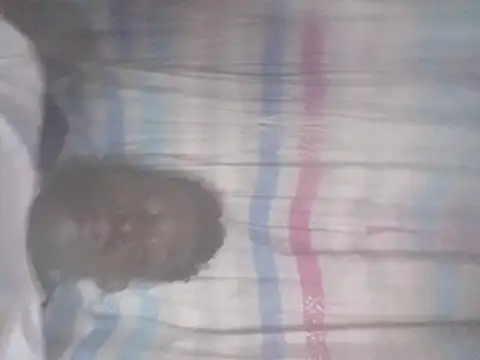 olamikpekusdaddy live sex cam