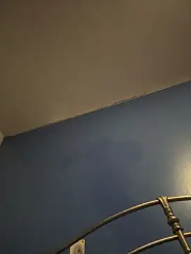 stevo170t live sex cam