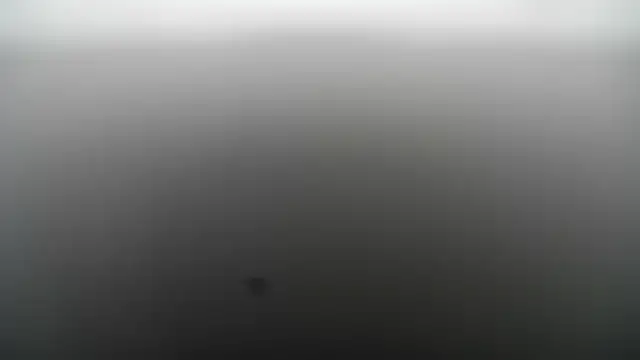 MikeLovesex699 live sex cam