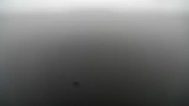 MikeLovesex699 live sex cam