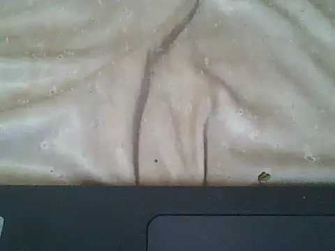 wildfox566 live sex cam