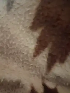 Bengali_BULL1 live sex cam