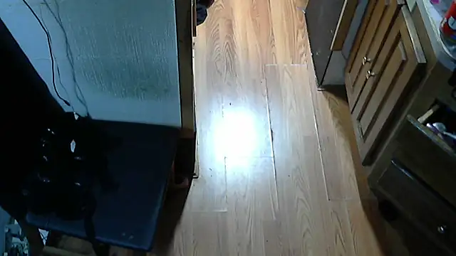 jessicalove99 live sex cam