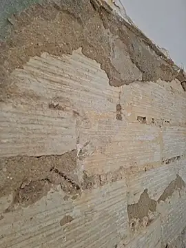 seloloko20 live sex cam