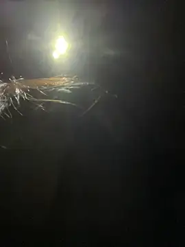 yourkeer live sex cam