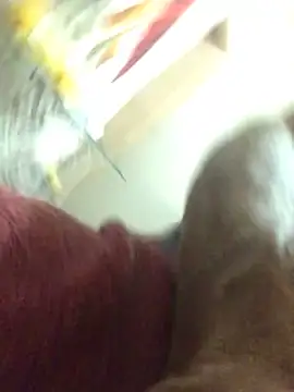 eleno1542 live sex cam