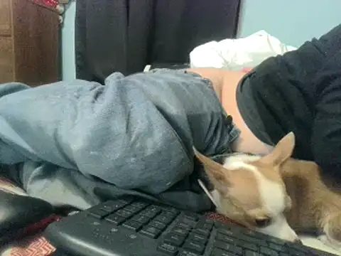 party51502 live sex cam