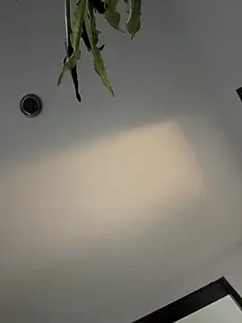 indialatin live sex cam