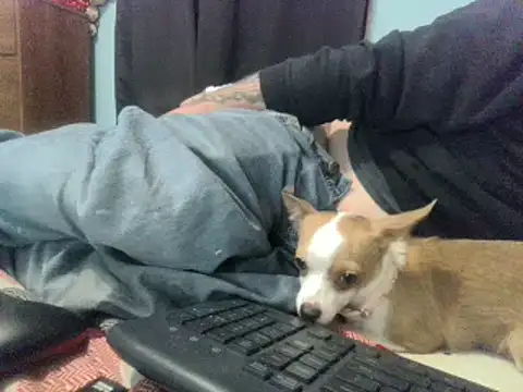 party51502 live sex cam