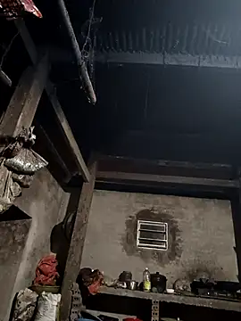 tulipsexy live sex cam