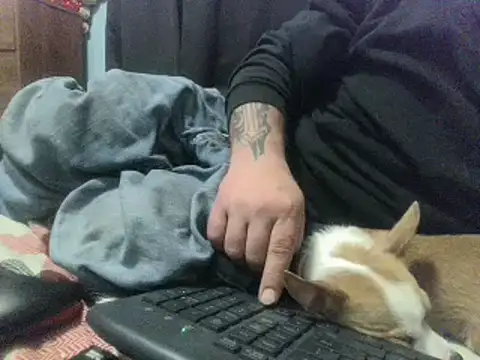 party51502 live sex cam