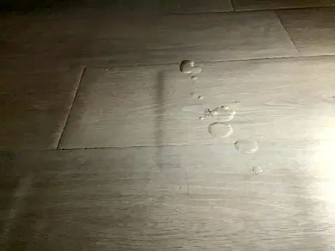 SalesmanAlan live sex cam