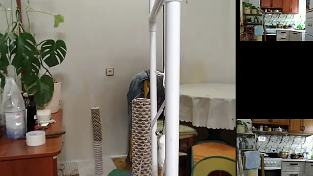 Sakura_Green live sex cam