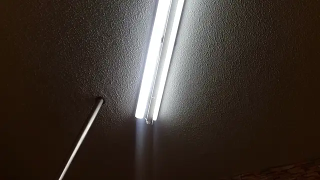 max_ashley_mds live sex cam