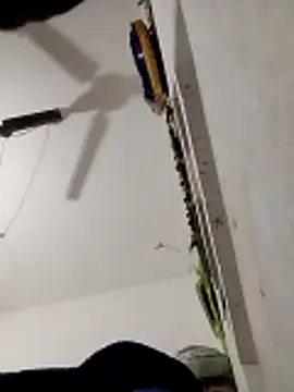 Payal950 live sex cam