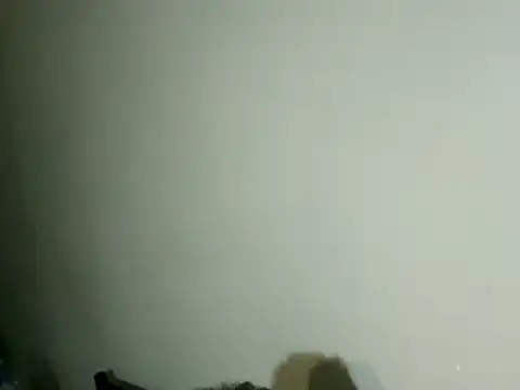 100Tauros live sex cam