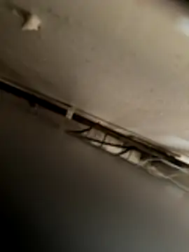 blacksamii2 live sex cam