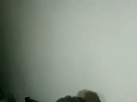 100Tauros live sex cam