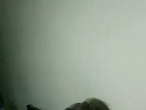 100Tauros live sex cam