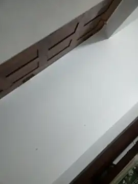 messiclaps live sex cam