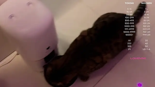 moon_deity_ live sex cam