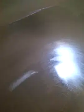 dancaEstrip live sex cam